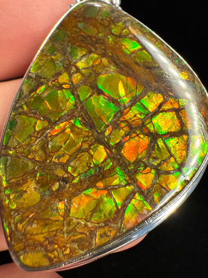 ammolite pendant