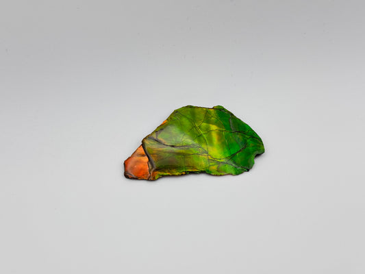 yellow green ammolite specimen