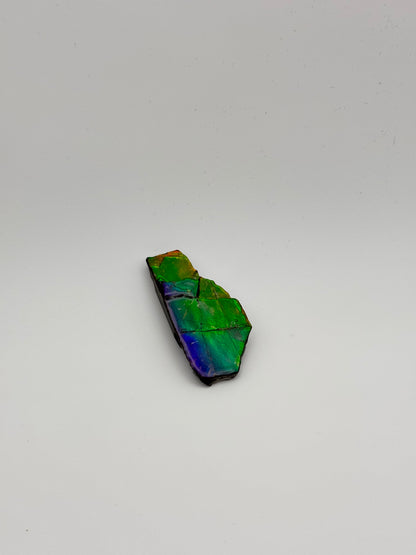rainbow ammolite specimen