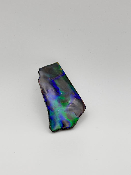 deep blue green ammolite specimen