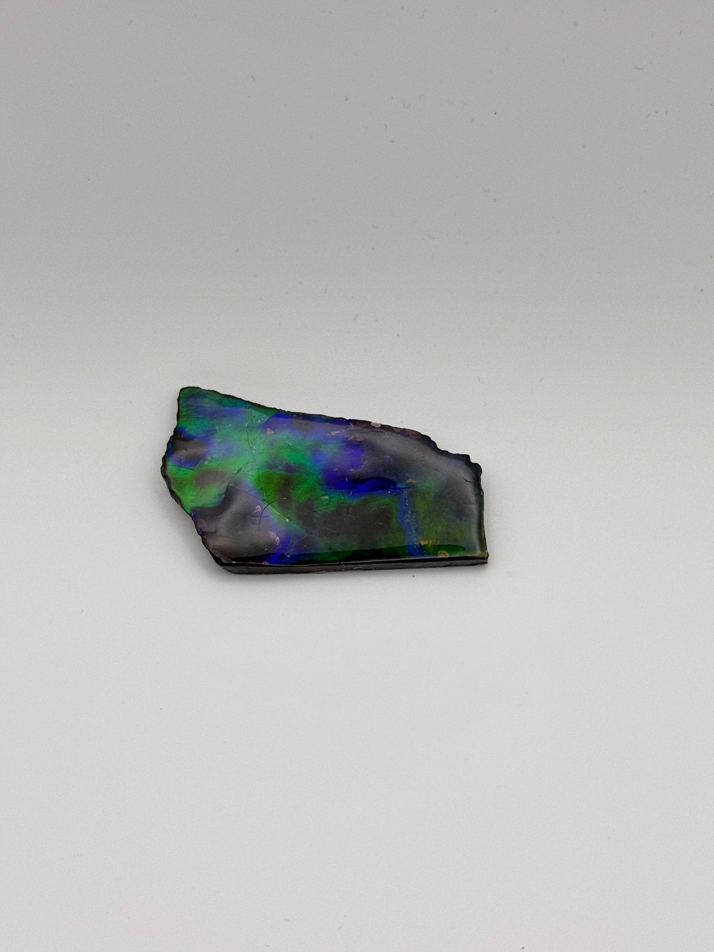 deep blue green ammolite specimen