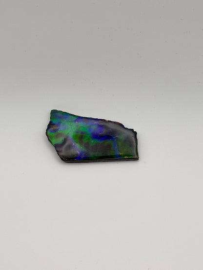 deep blue green ammolite specimen