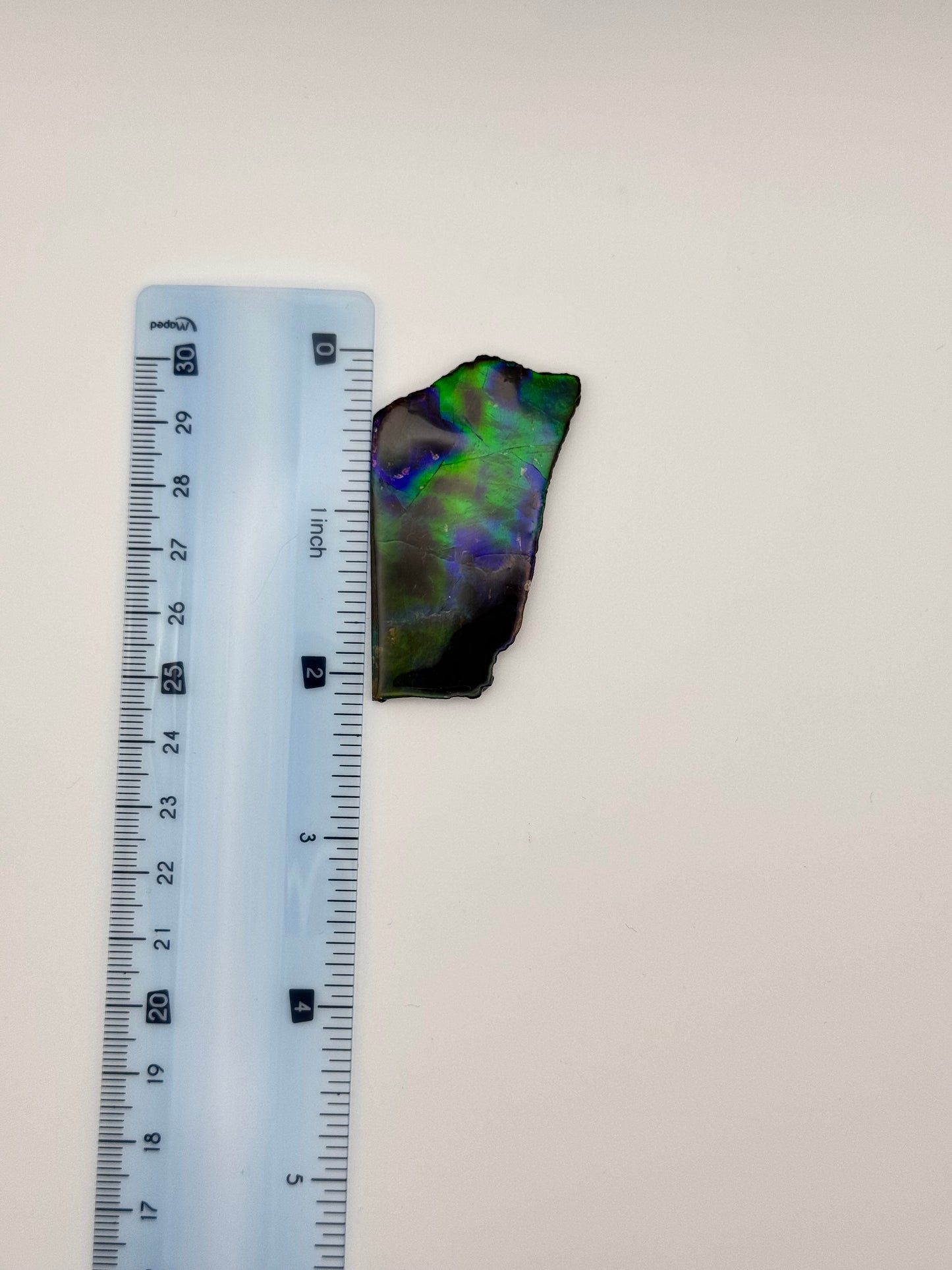 deep blue green ammolite specimen
