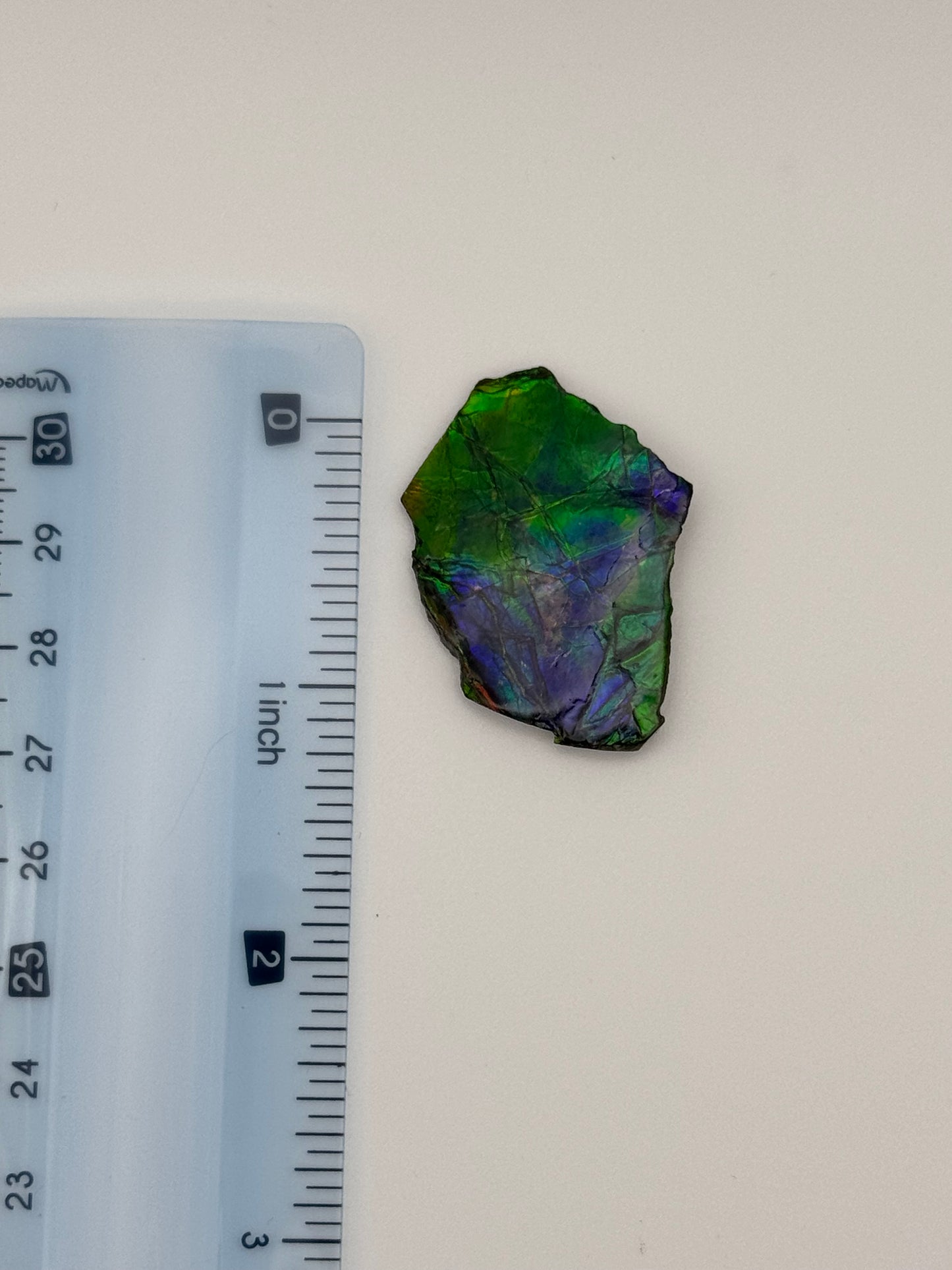 blue green rough ammolite