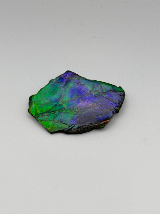 blue green rough ammolite