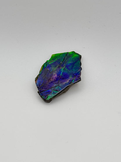 blue green rough ammolite
