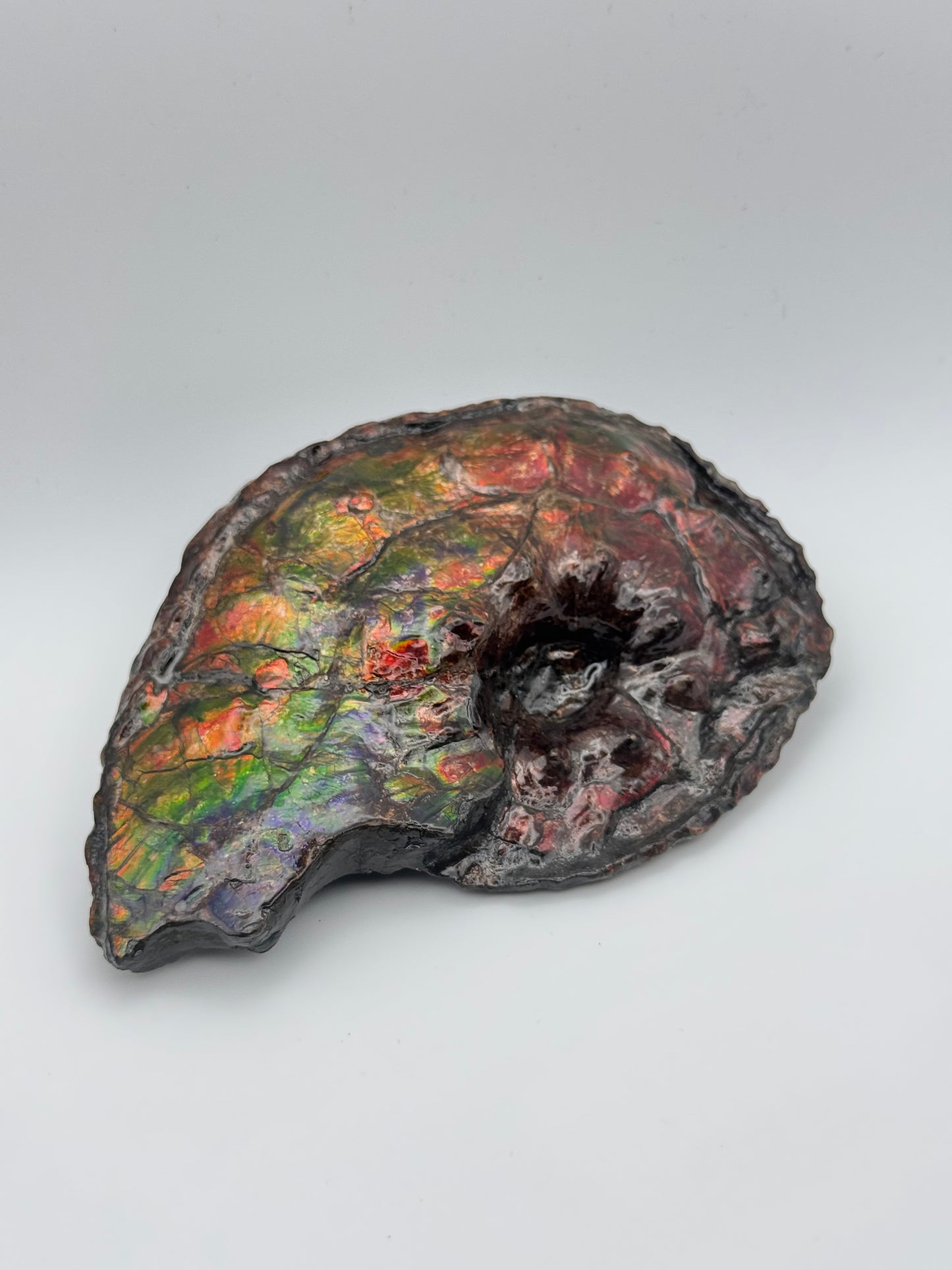 Ammolite tear drop