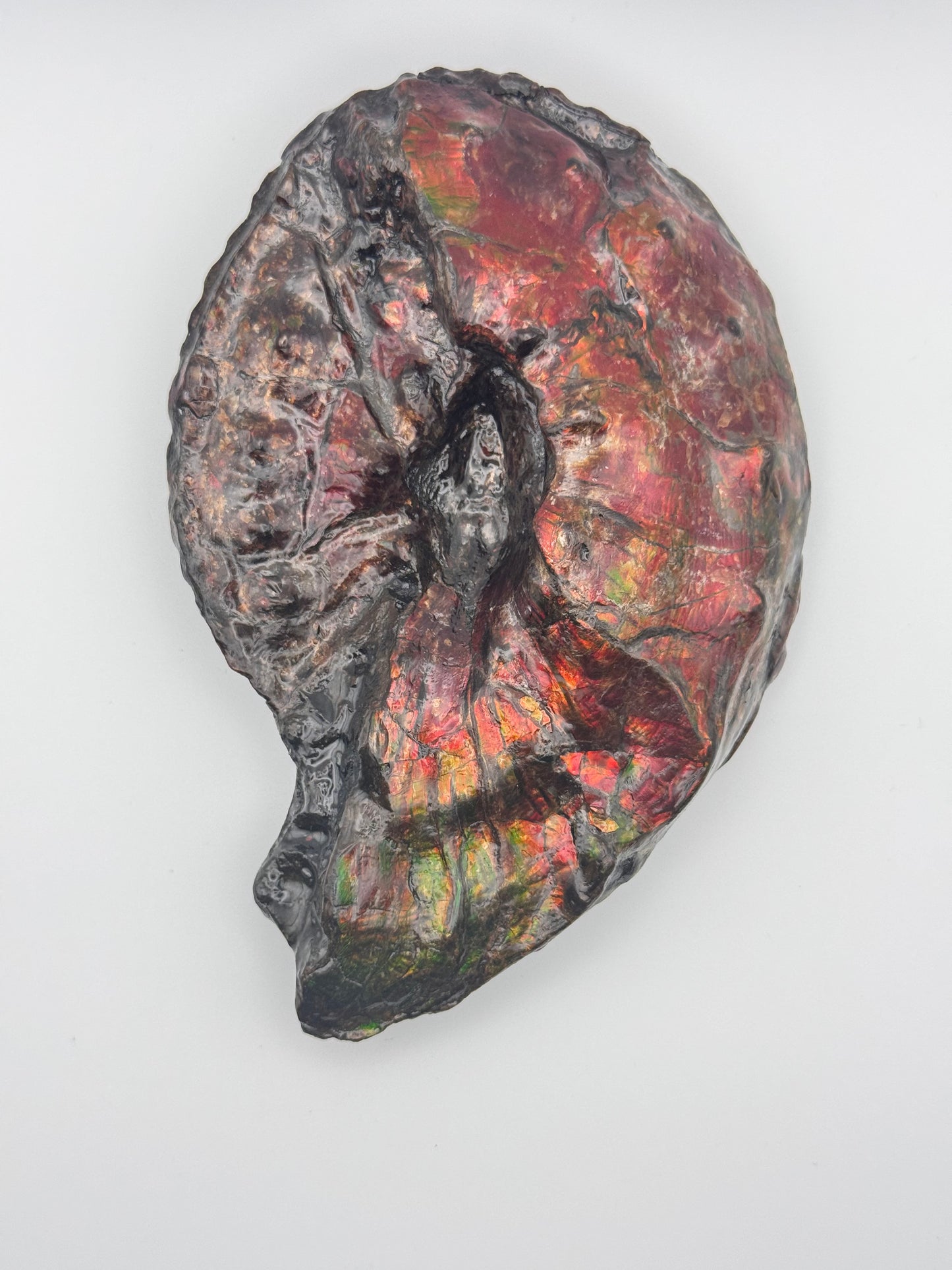 Ammolite tear drop