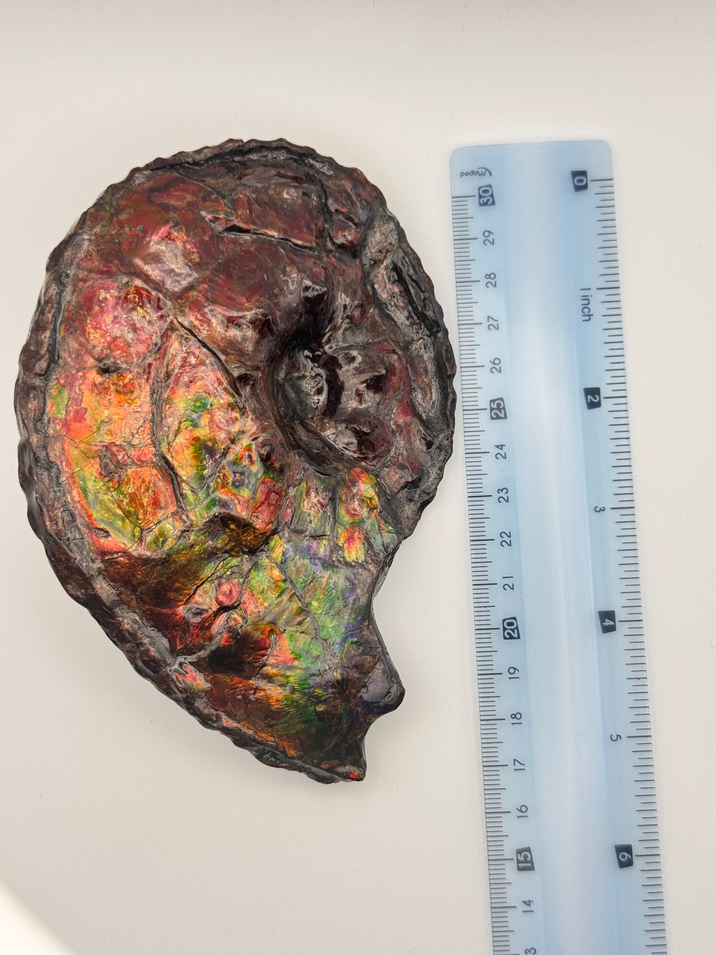 Ammolite tear drop