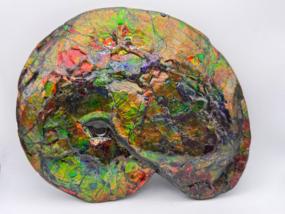 Vibrant ammolite