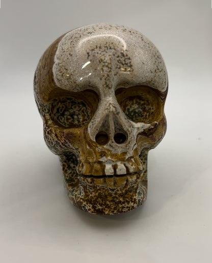 Ocean Jasper Skull Head