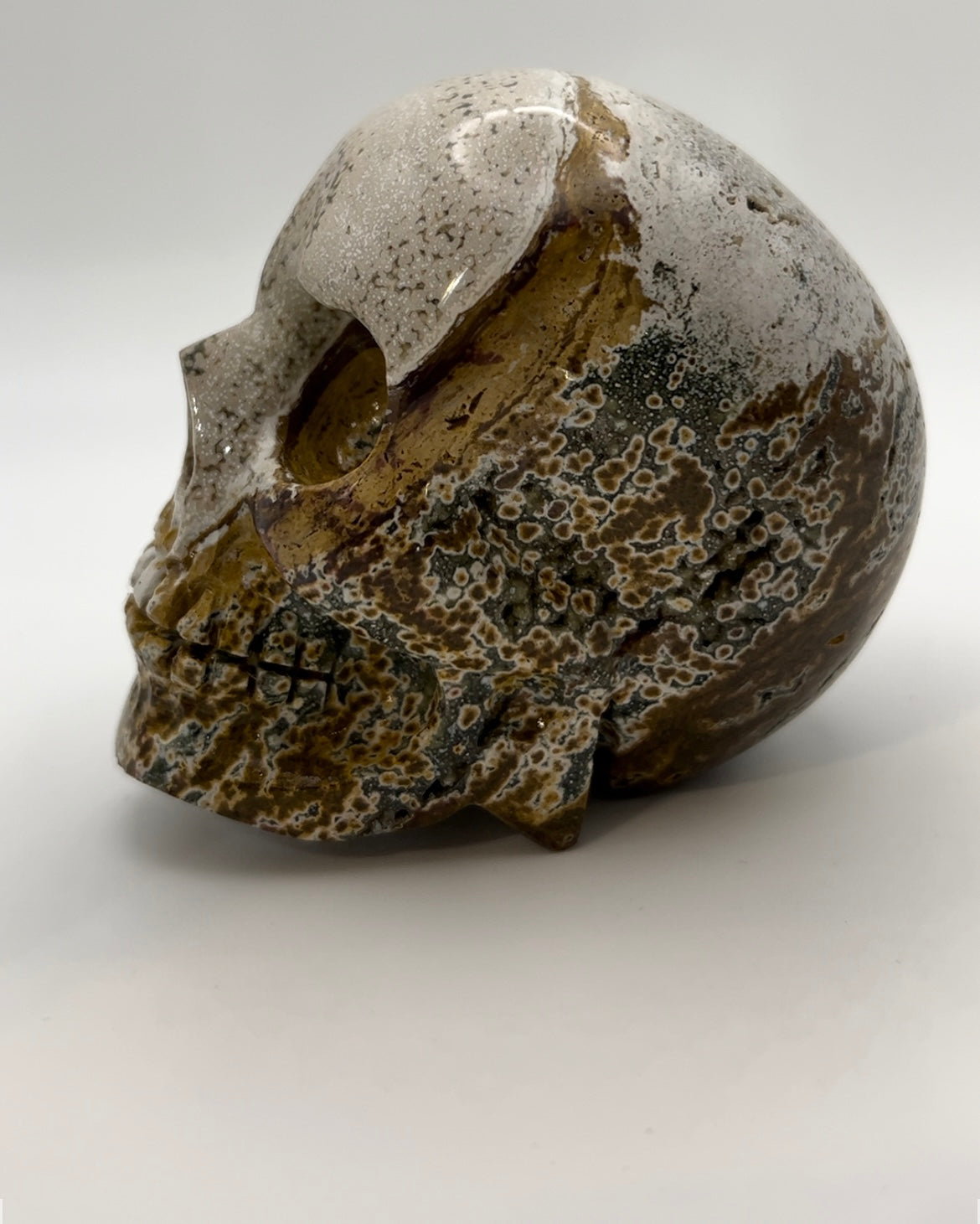 Ocean Jasper Skull Head