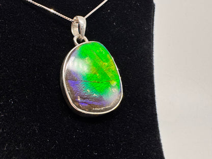Ammolite pendant