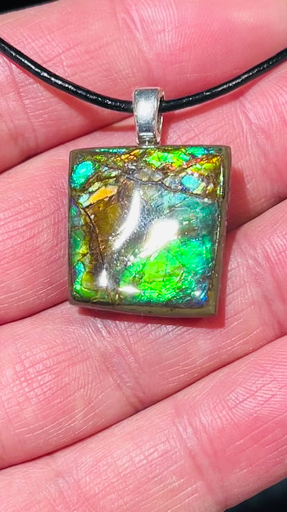 Ammolite pendants