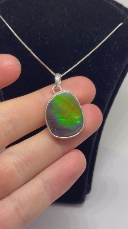 Ammolite pendant