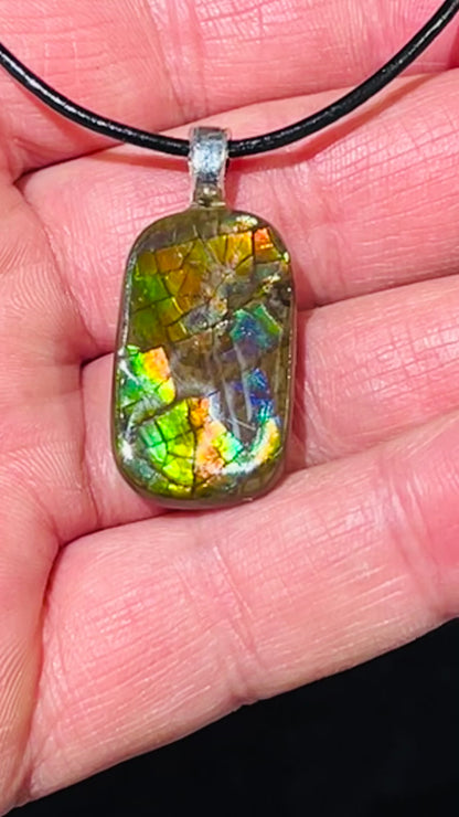 Ammolite pendants