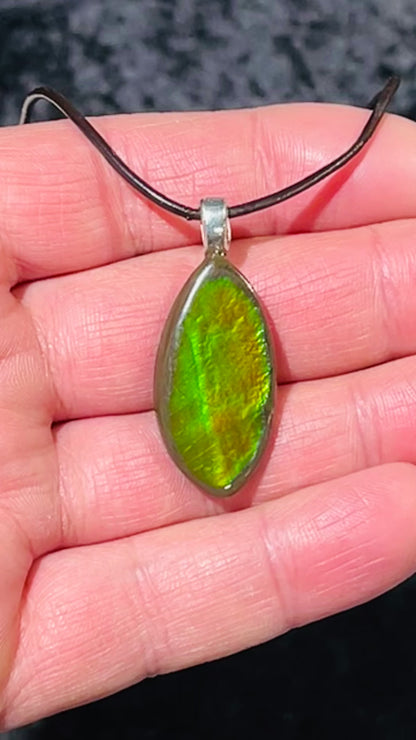 Ammolite pendants