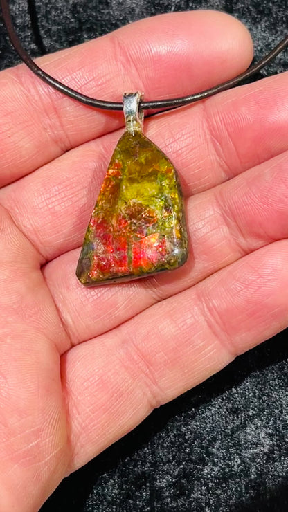 Ammolite pendants