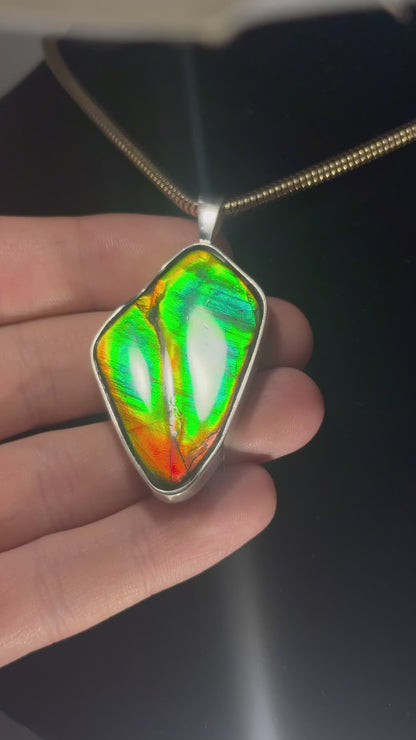 polished Ammolite pendant
